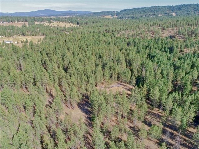 Nine South Swenson Road Deer Park, WA 99006 - Photo 7 of 23 Gallery Image 7