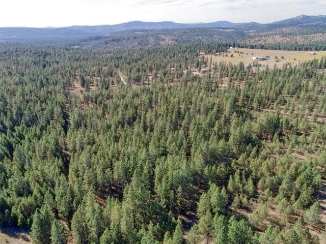 Nine South Swenson Road Deer Park, WA 99006 - Photo 8 of 23 Gallery Image 8