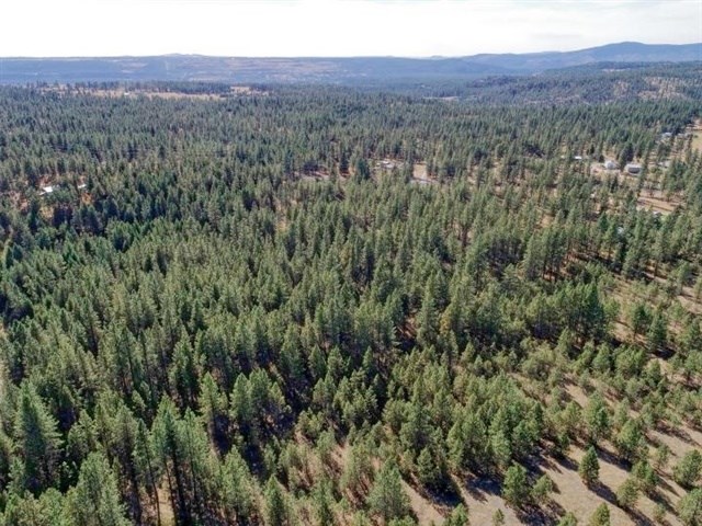 Nine South Swenson Road Deer Park, WA 99006 - Photo 9 of 23 Gallery Image 9