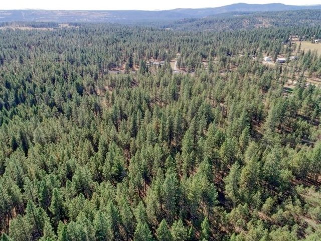 Nine South Swenson Road Deer Park, WA 99006 - Photo 10 of 23 Gallery Image 10