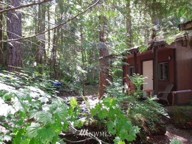 110-1 Goldrush Road Deming, WA 98244 - Photo 4 of 20 Gallery Image 4
