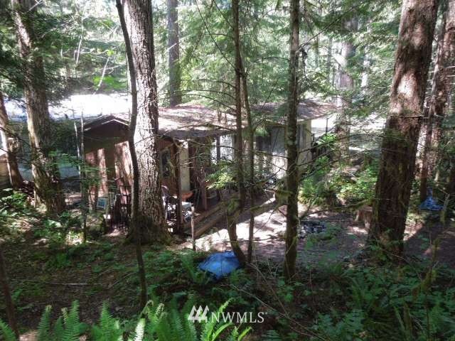 110-1 Goldrush Road Deming, WA 98244 - Photo 6 of 20 Gallery Image 6