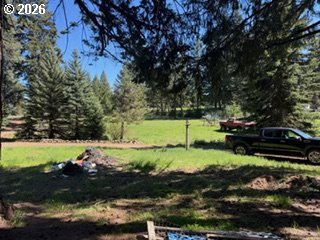 1251 Canyon Road Appleton, WA 98602 - Photo 4 of 4 a view of a backyard with large trees