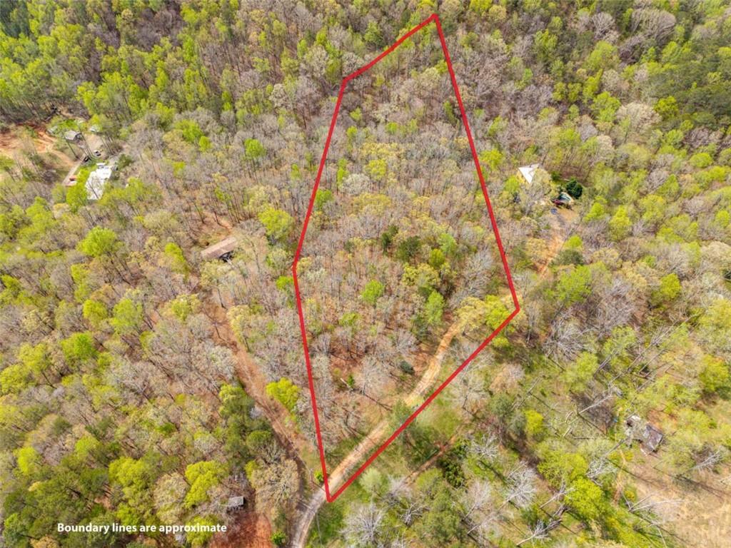 3467 Carver Mill Road Talking Rock, GA 30175 - Photo 3 of 23