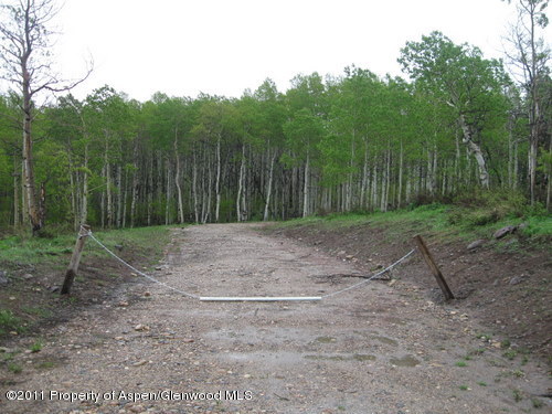 342 Forest Service Road Craig, CO 81625 - Photo 1 of 6 Driveway-View from Road