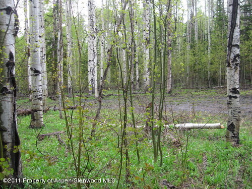 342 Forest Service Road Craig, CO 81625 - Photo 3 of 6 Lot