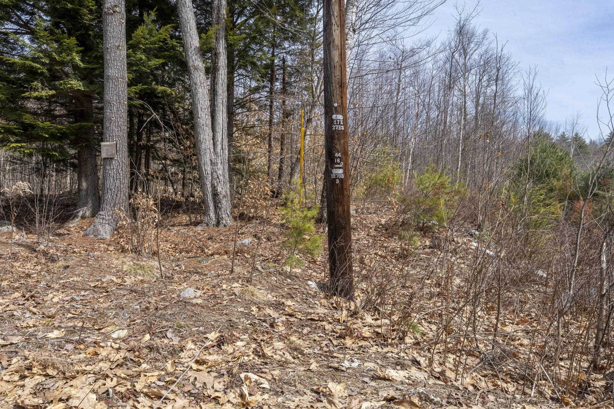 0 Roxbury Road, Unit LOT 1 Meredith, NH 03253 - Photo 4 of 16