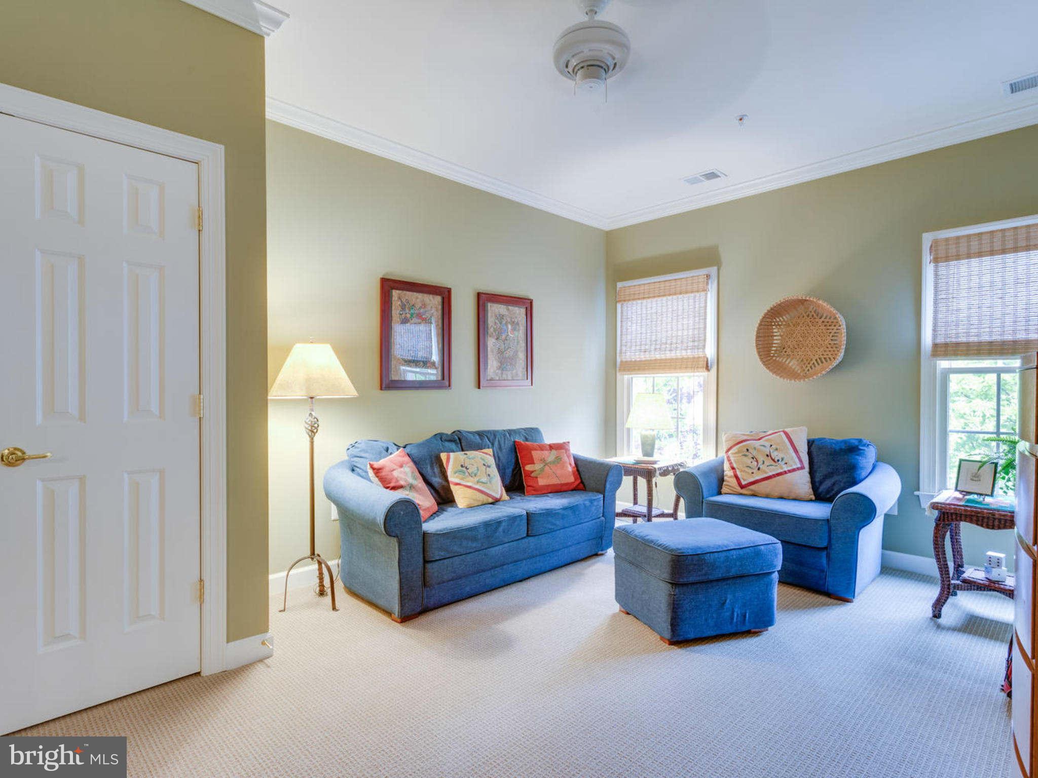 9208 Jones Mill Road Chevy Chase, MD 20815 - Photo 23 of 30 a living room with furniture a rug and a window