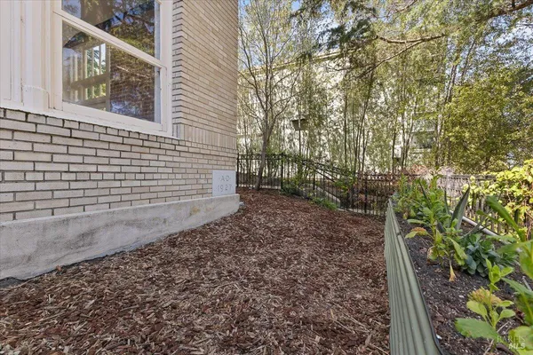 a view of a backyard with plants and large trees