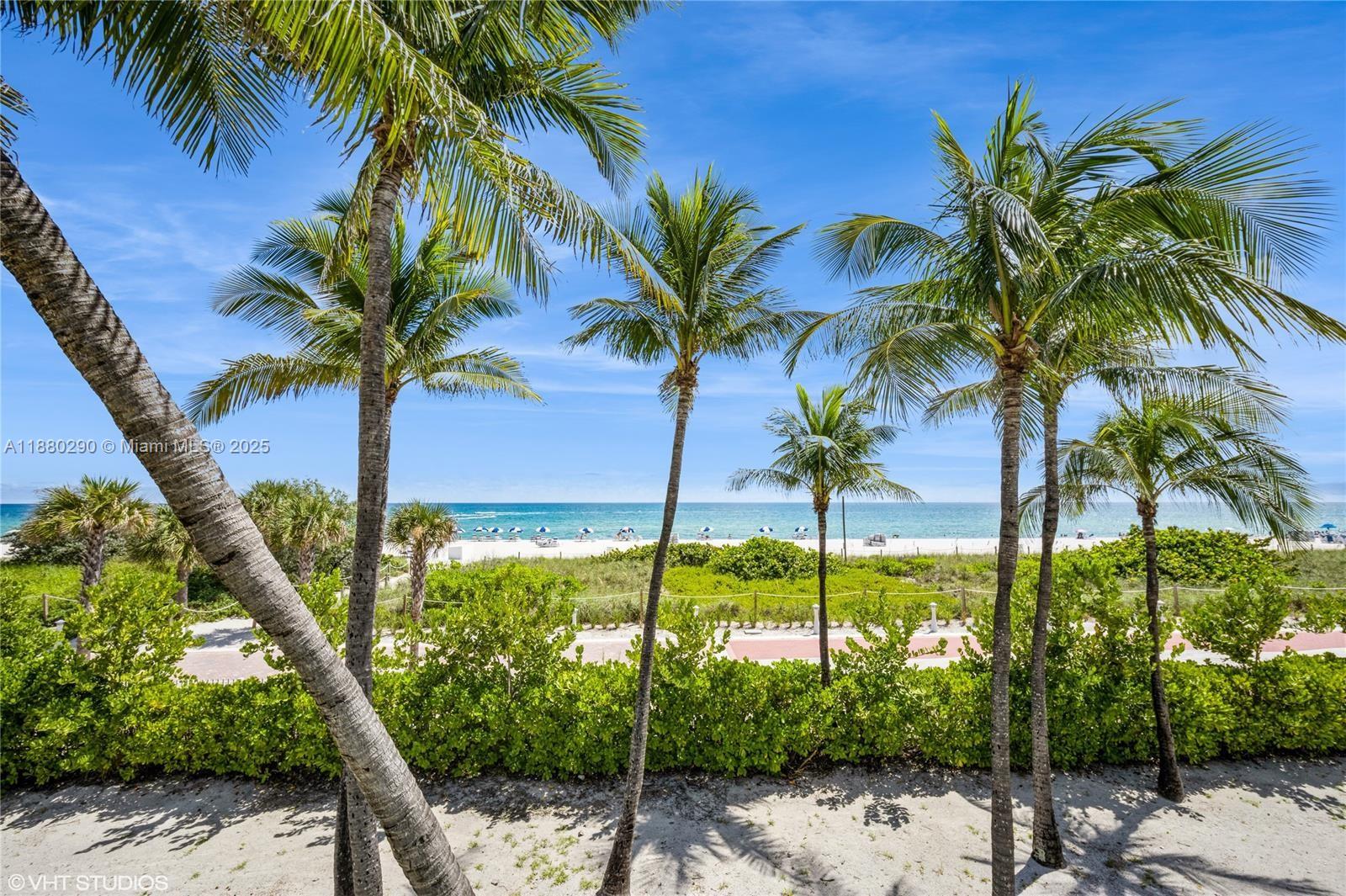 5161 Collins Avenue, Unit 514 Miami Beach, FL 33140 - Photo 25 of 34 a view of a palm tree with a yard