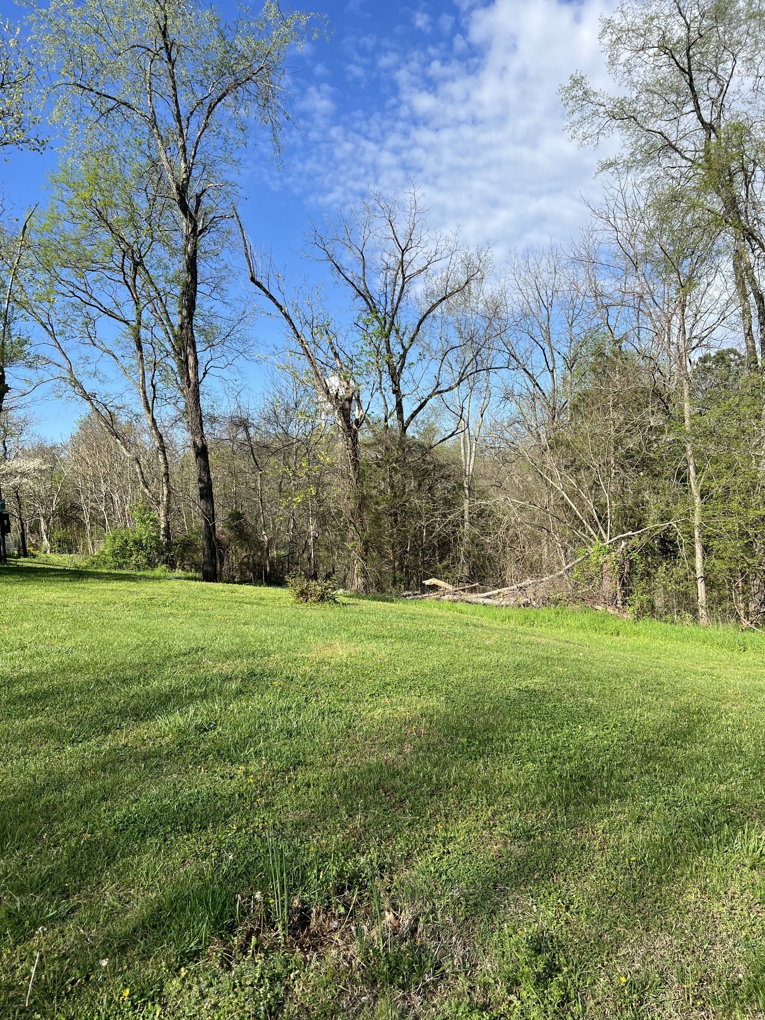 0 Lafayette Road Red Boiling Springs, TN 37150 - Photo 2 of 2 a view of a field with large trees