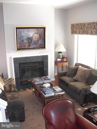 11105 Timberhead Lane Reston, VA 20191 - Photo 3 of 12 Living Room #2