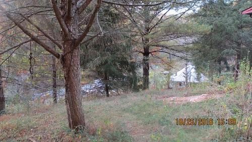 315 Ray Road Sharps Chapel, TN 37866 - Photo 3 of 15 IMG_2430