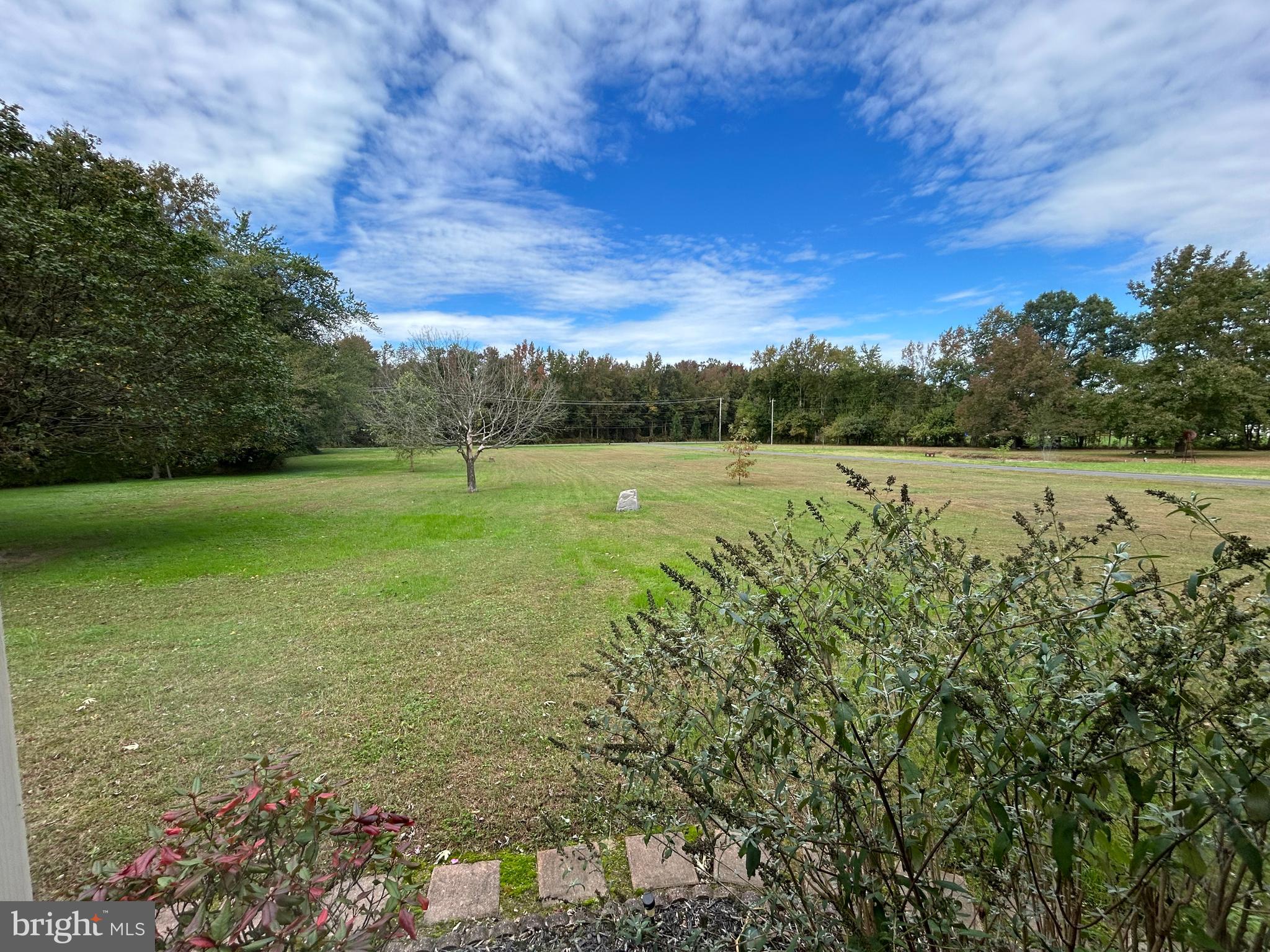 2218 Slaughter Station Road Hartly, DE 19953 - Photo 5 of 30 Front yard view from house