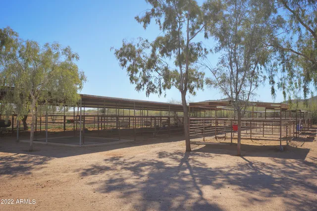 a view of a backyard with a tree
