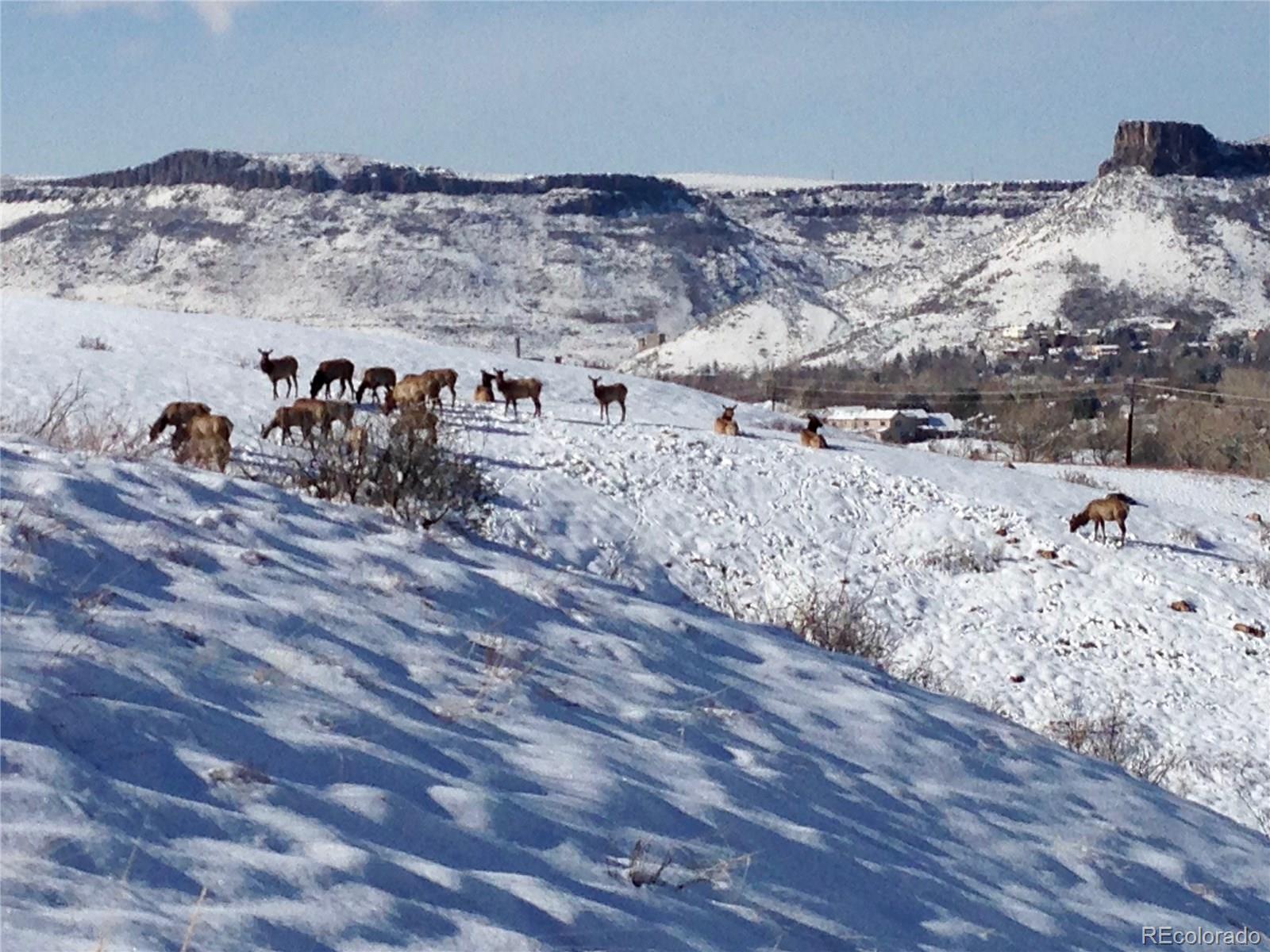 831 Rabbit Run Drive Golden, CO 80401 - Photo 33 of 33 Gallery Image 33
