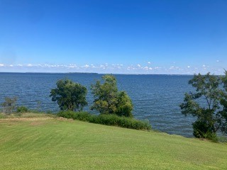 a view of outdoor space and yard