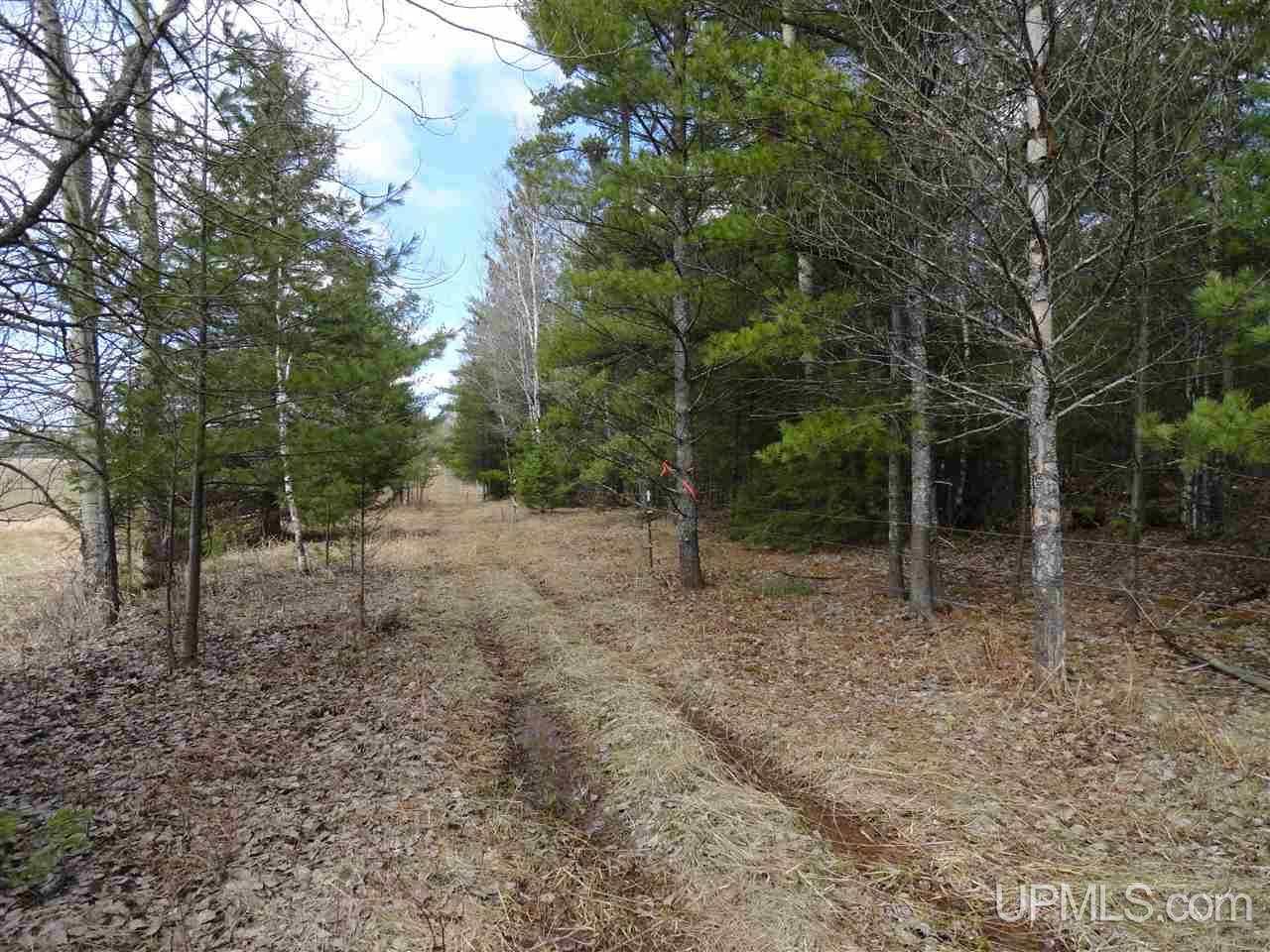 3 3 Mile Road Bruce Crossing, MI 49912 - Photo 10 of 12