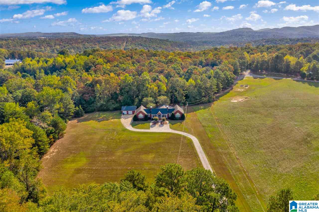 11300 Mize Road Remlap, AL 35133 - Photo 4 of 43