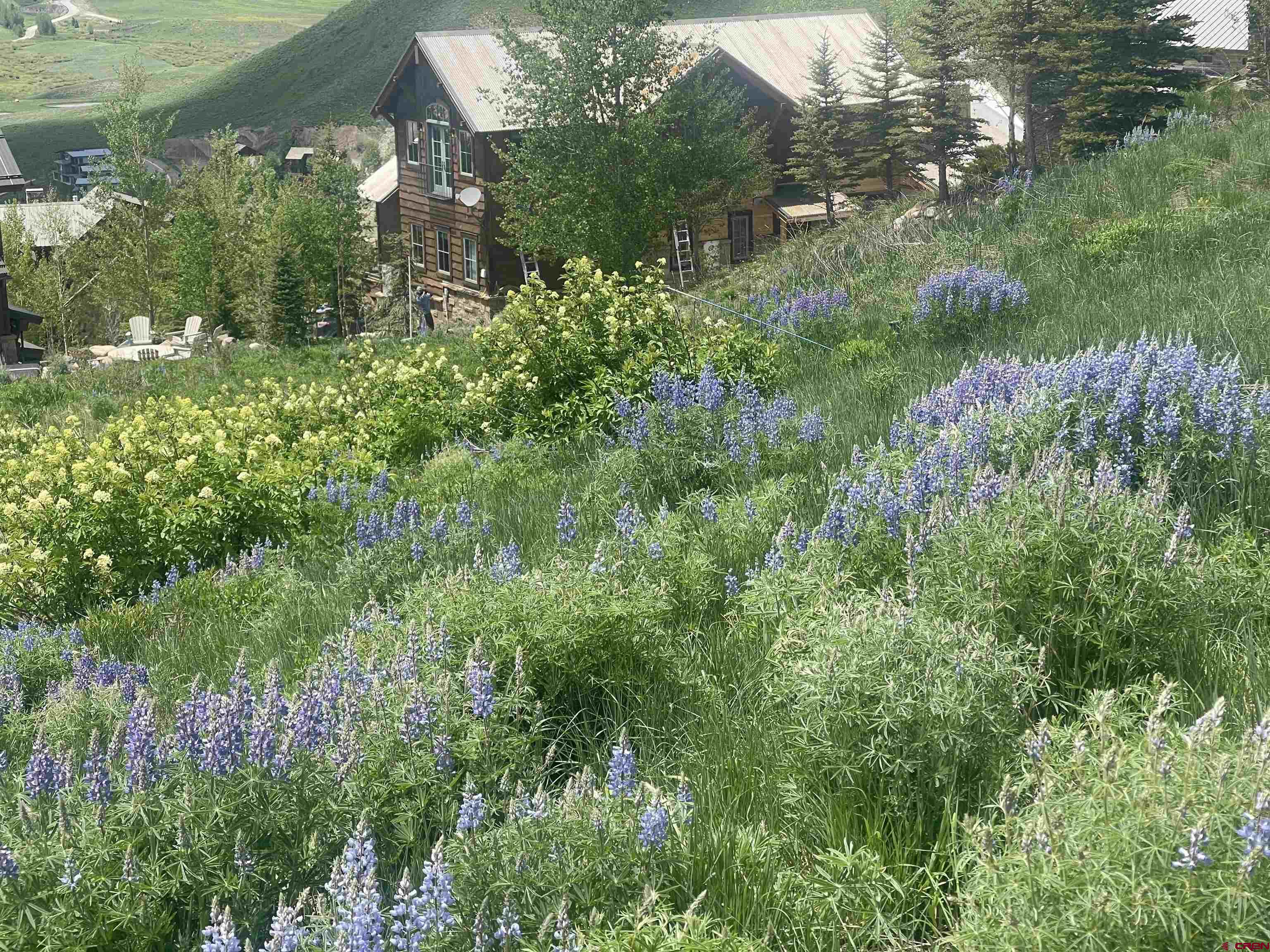 57 Summit Road Crested Butte, CO 81225 - Photo 4 of 22 an aerial view of residential house with outdoor space and trees all around