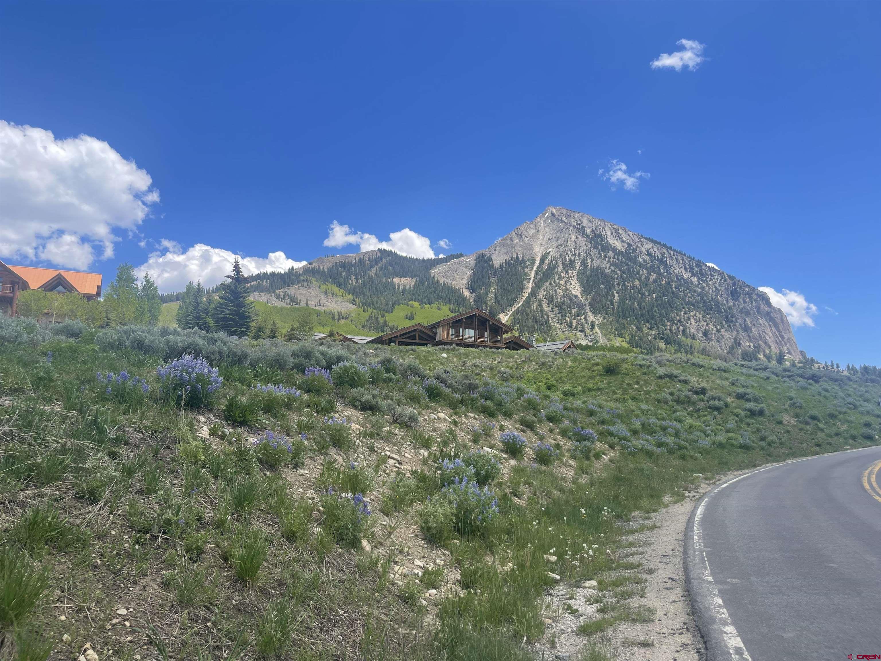 57 Summit Road Crested Butte, CO 81225 - Photo 7 of 22 a view of a big yard with a house