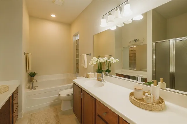 a bathroom with a double vanity sink mirror toilet and bathtub