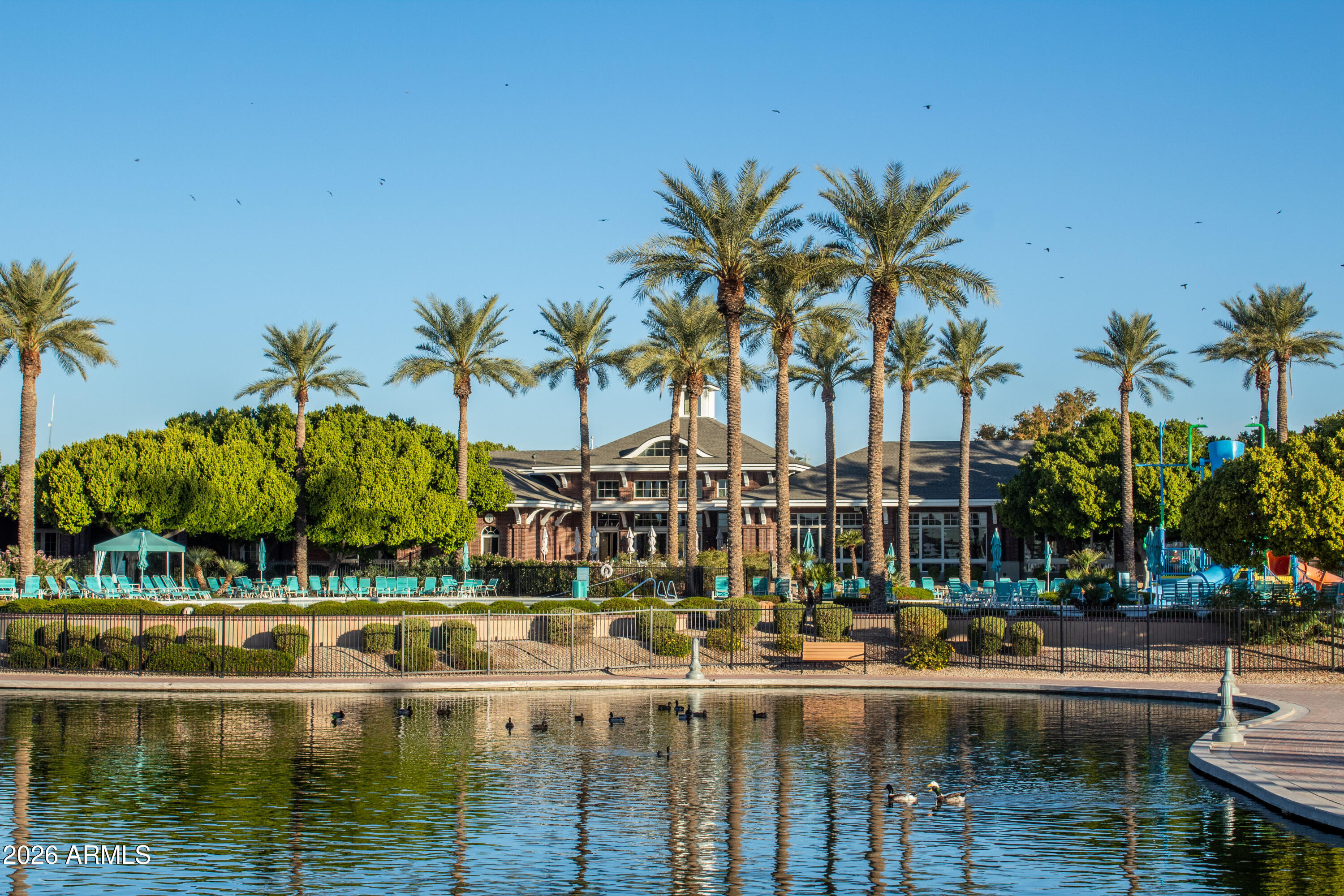 17334 West Wandering Creek Road Goodyear, AZ 85338 - Photo 41 of 67 a view of water with palm trees