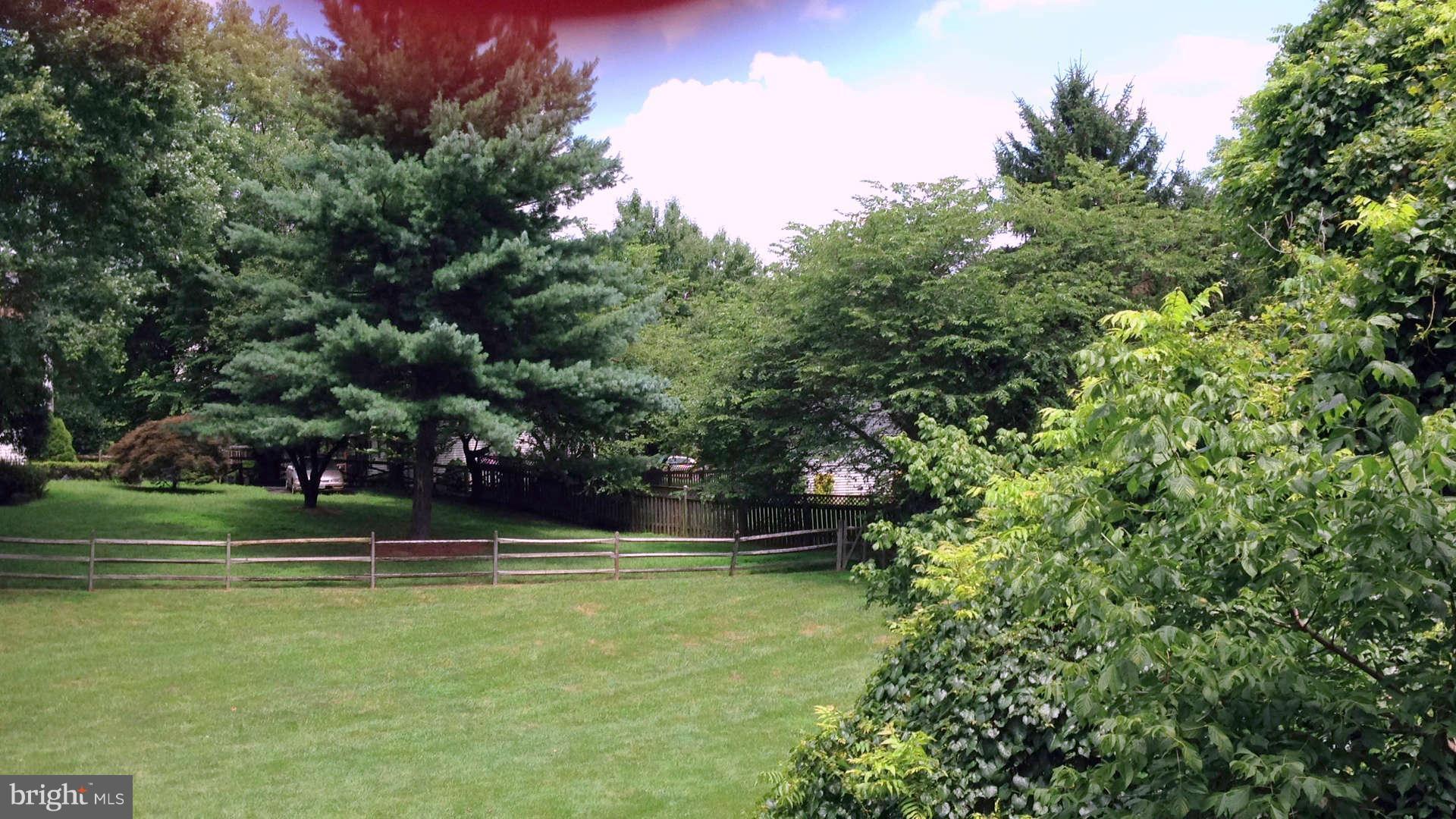 19225 Cross Ridge Drive Germantown, MD 20874 - Photo 5 of 15 Views from deck