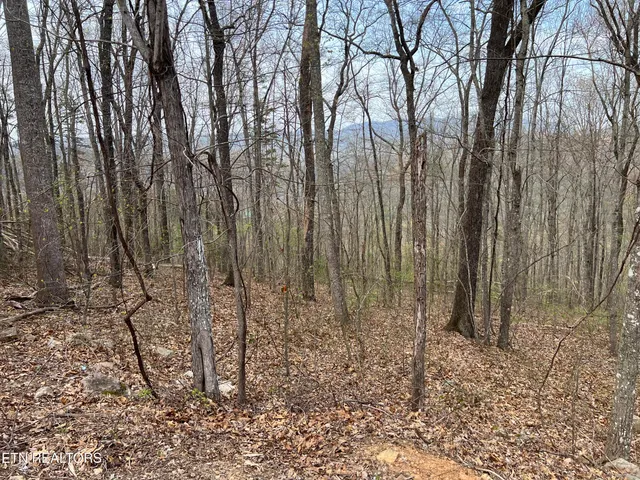 $130,000 | Lot 49 Patriot Lane, Sevierville, TN 37862