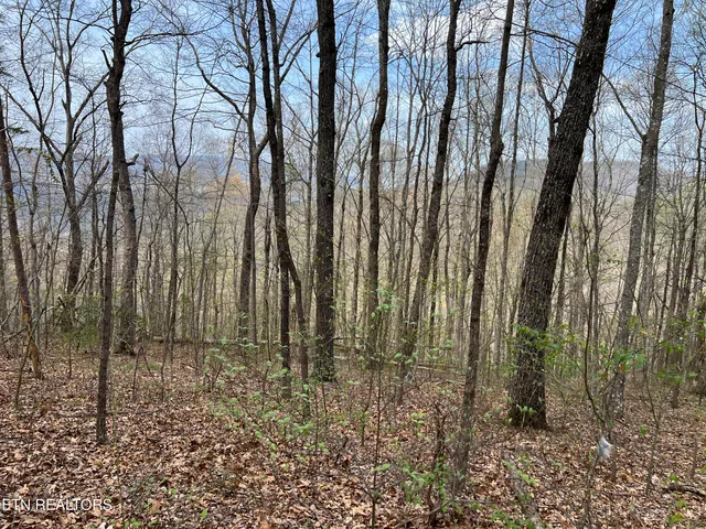 $130,000 | Lot 49 Patriot Lane, Sevierville, TN 37862