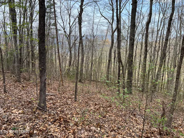 $130,000 | Lot 49 Patriot Lane, Sevierville, TN 37862