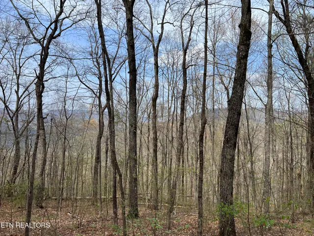 $130,000 | Lot 49 Patriot Lane, Sevierville, TN 37862