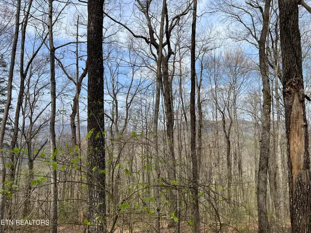 $130,000 | Lot 49 Patriot Lane, Sevierville, TN 37862