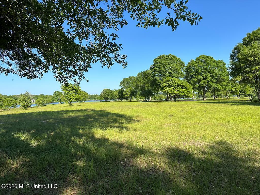 North New Arbor Road North Poplarville, MS 39470 - Photo 1 of 7 183240_0