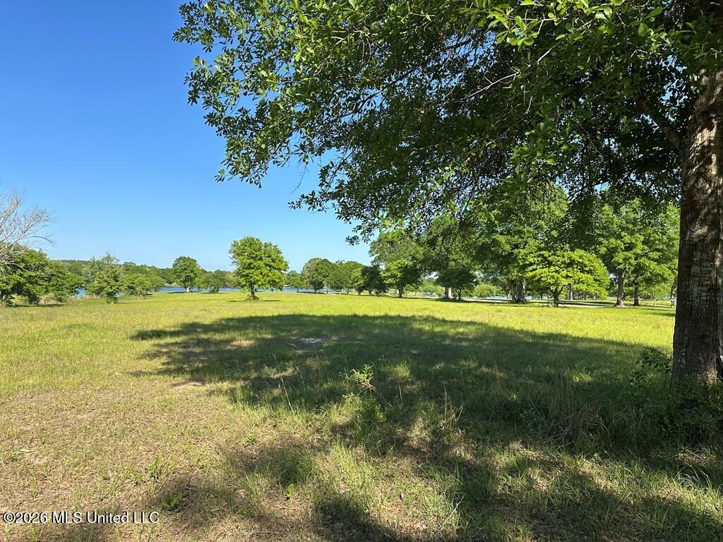 North New Arbor Road North Poplarville, MS 39470 - Photo 3 of 7 183240_3