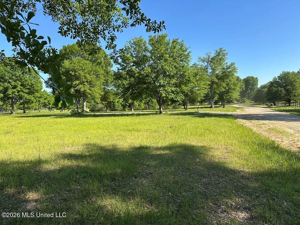 North New Arbor Road North Poplarville, MS 39470 - Photo 4 of 7 183240_4