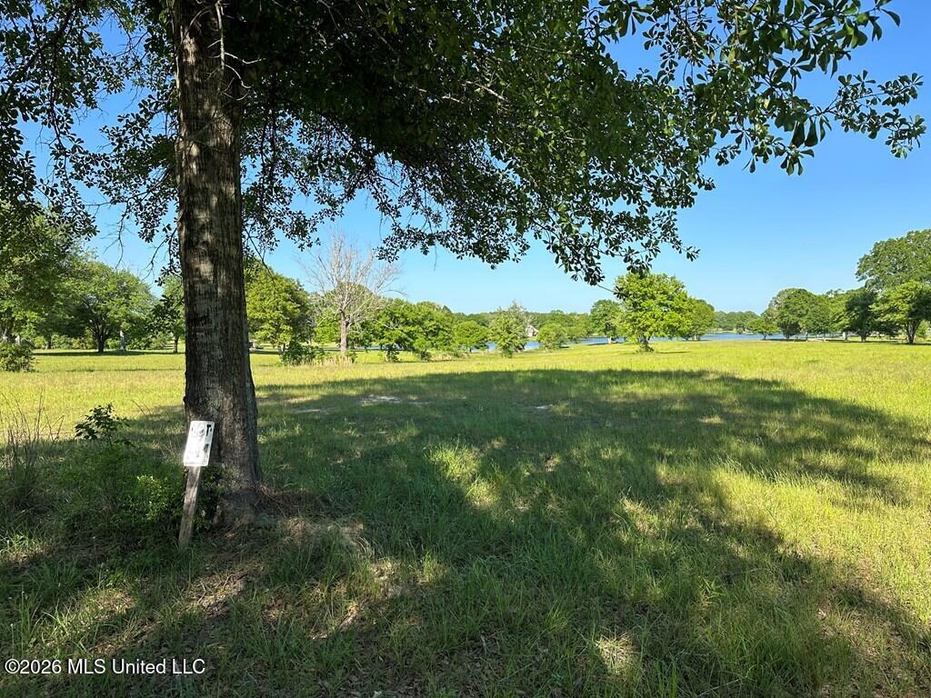 North New Arbor Road North Poplarville, MS 39470 - Photo 5 of 7 183240_5