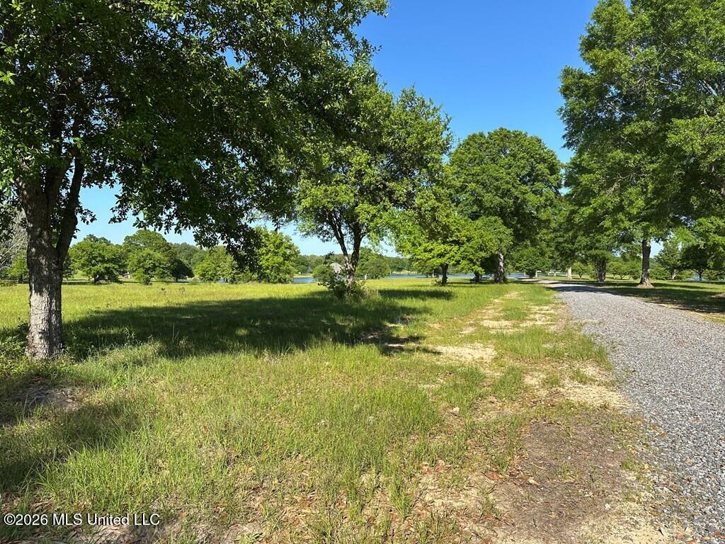 North New Arbor Road North Poplarville, MS 39470 - Photo 6 of 7 183240_6