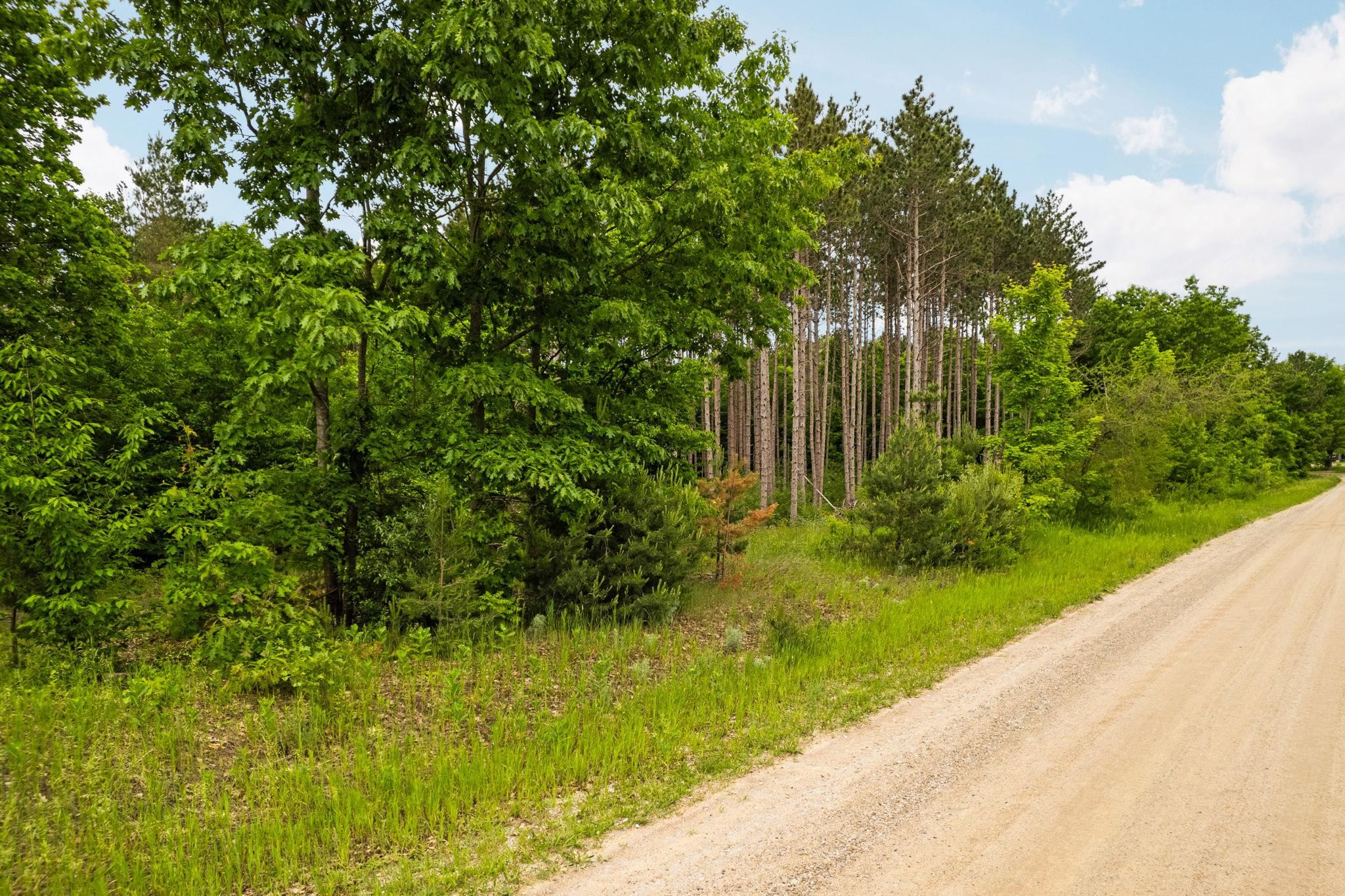 Parcel E St Johns Road Interlochen, MI 49643 - Photo 7 of 39