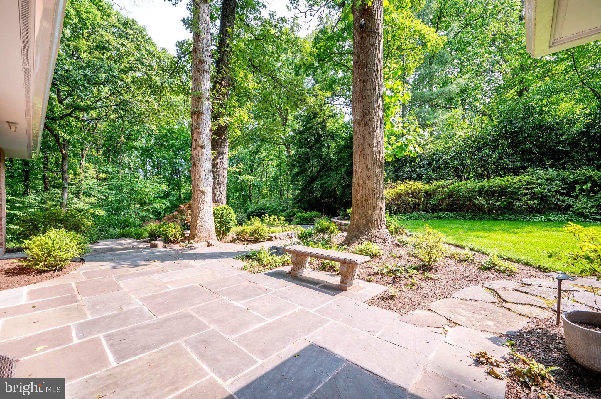 6501 Menlo Road McLean, VA 22101 - Photo 37 of 60 Gallery Image 37