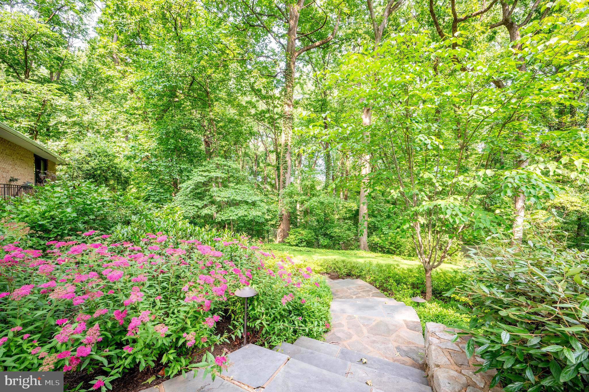 6501 Menlo Road McLean, VA 22101 - Photo 45 of 60 Gallery Image 45