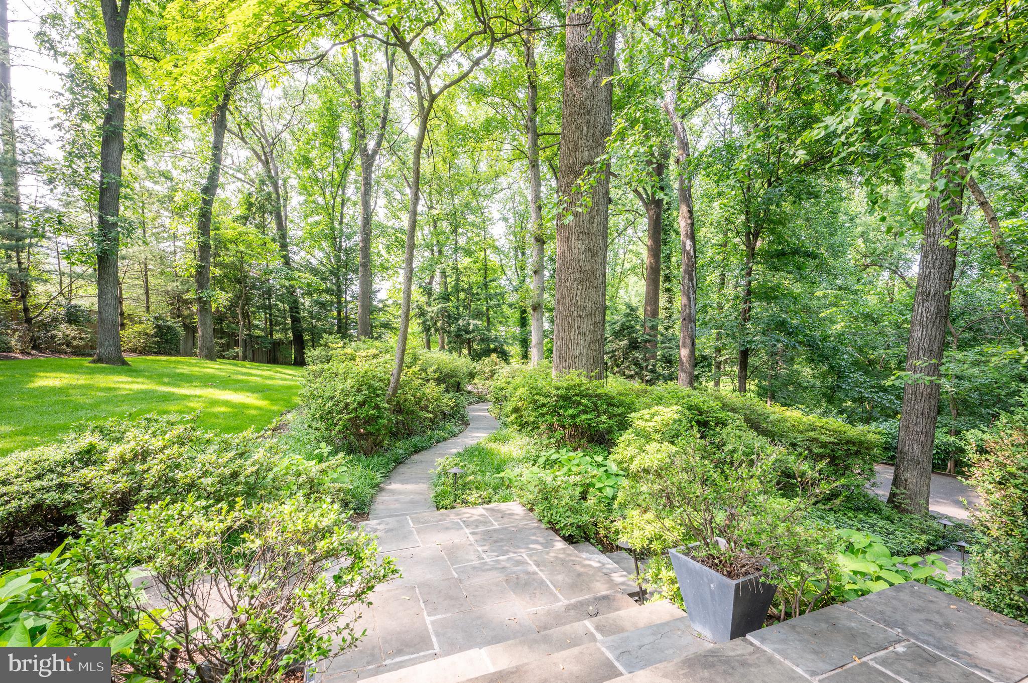 6501 Menlo Road McLean, VA 22101 - Photo 56 of 60 Gallery Image 56