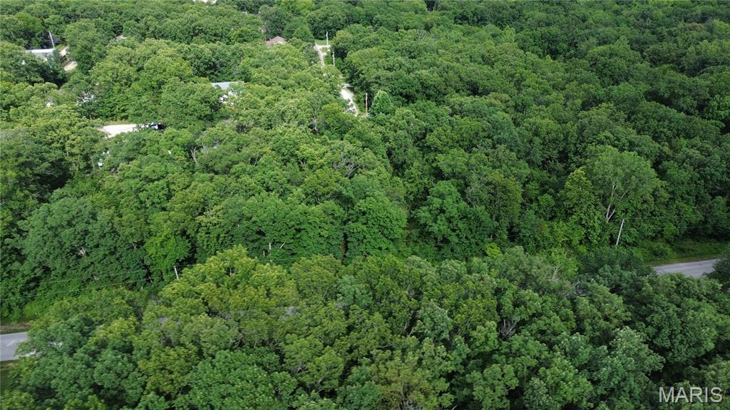 0 Peacock Road St. Clair, MO 63077 - Photo 10 of 16