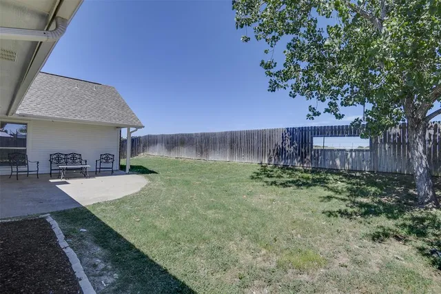 a view of a backyard with a plants and trees