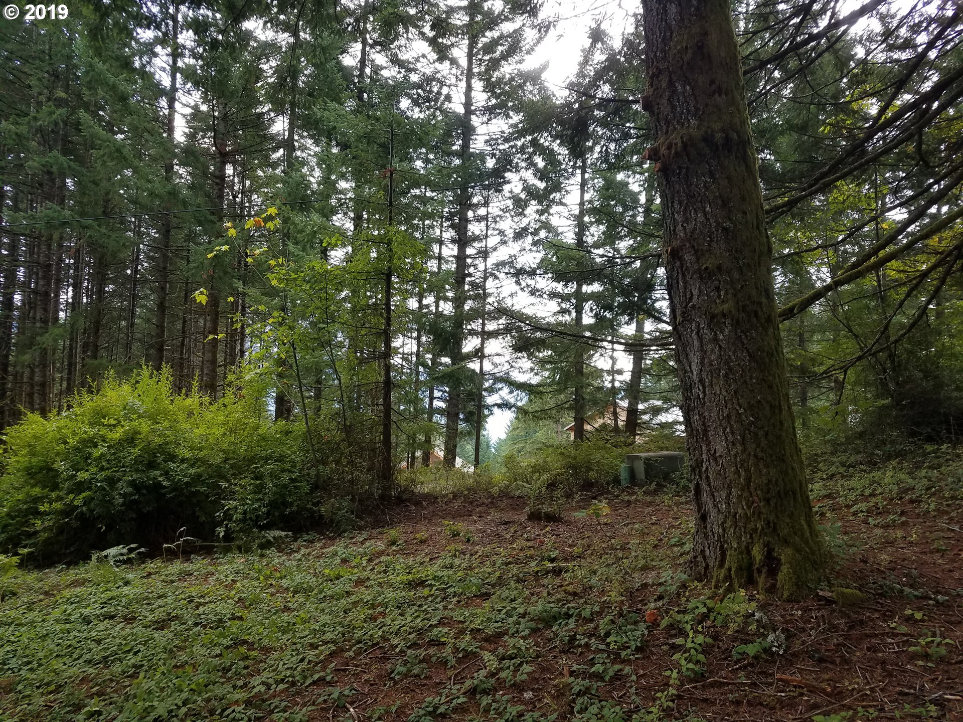 32 Skaar Road Stevenson, WA 98648 - Photo 4 of 10