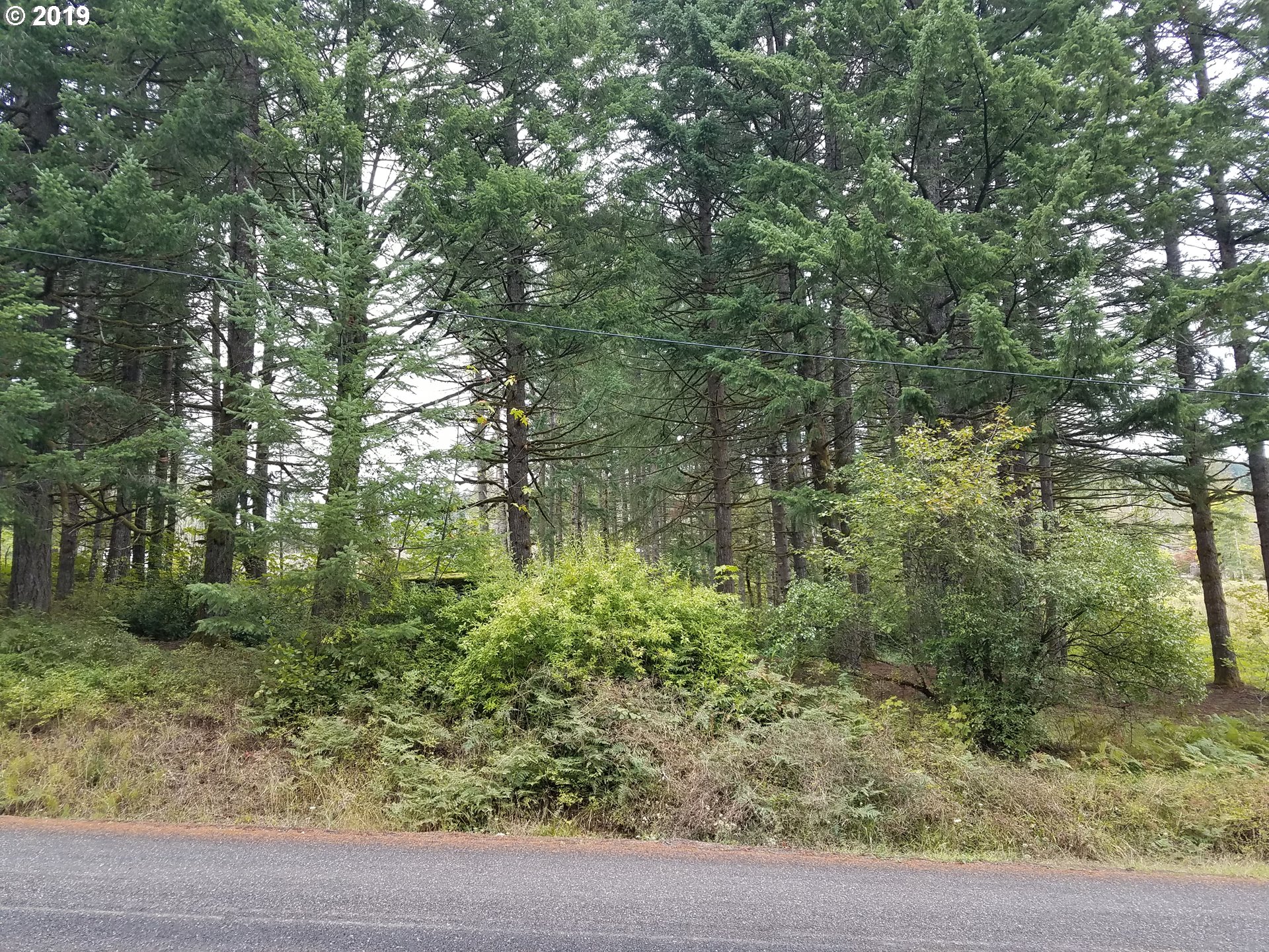 32 Skaar Road Stevenson, WA 98648 - Photo 5 of 10