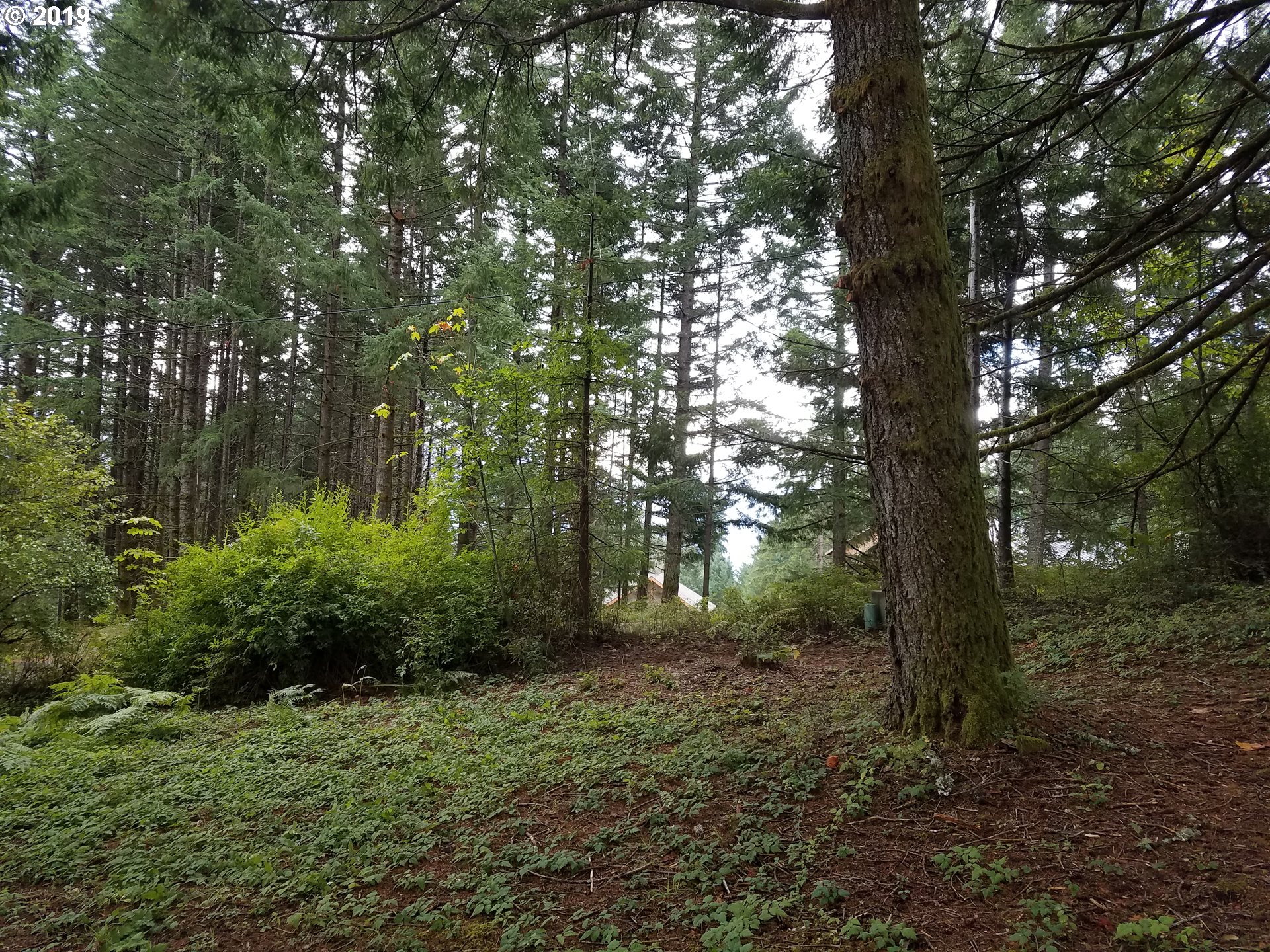 32 Skaar Road Stevenson, WA 98648 - Photo 7 of 10