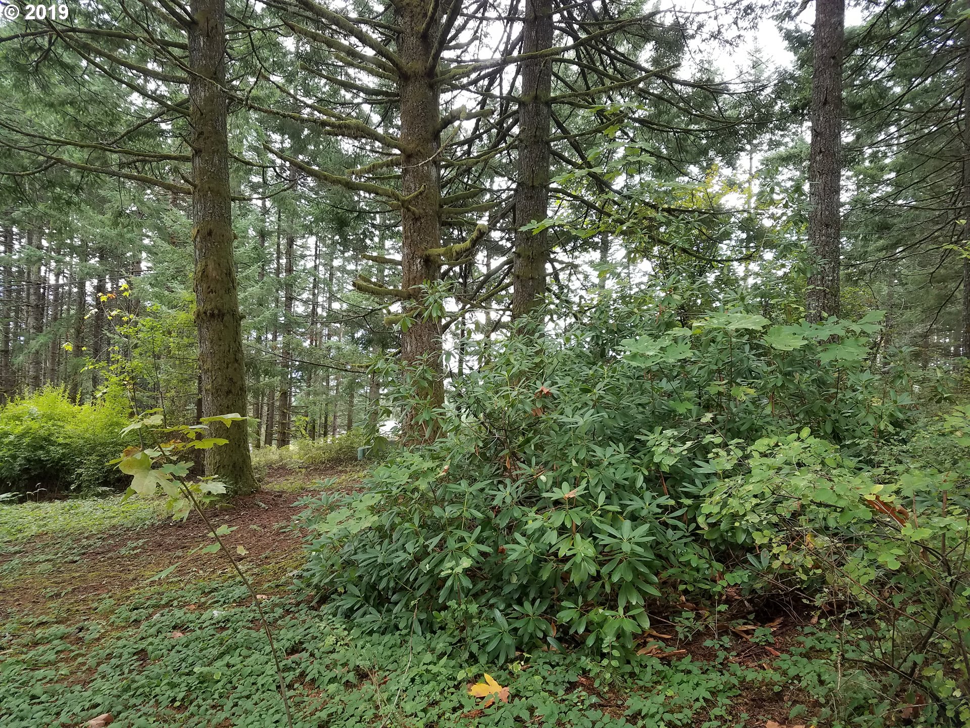 32 Skaar Road Stevenson, WA 98648 - Photo 10 of 10