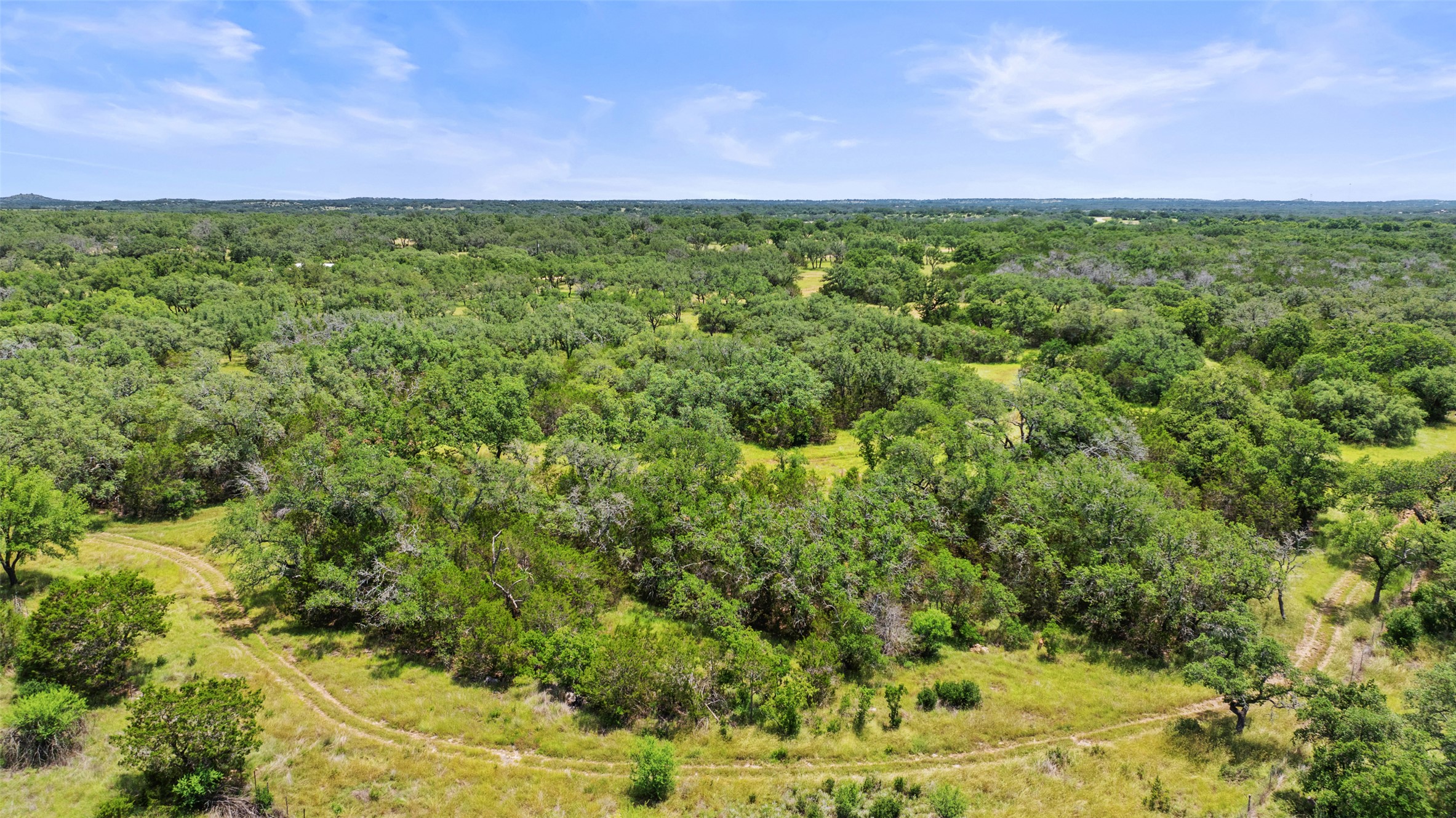 997 Sandy Oaks Ranch Road Johnson City, TX 78636 - Photo 11 of 11 a view of a green yard