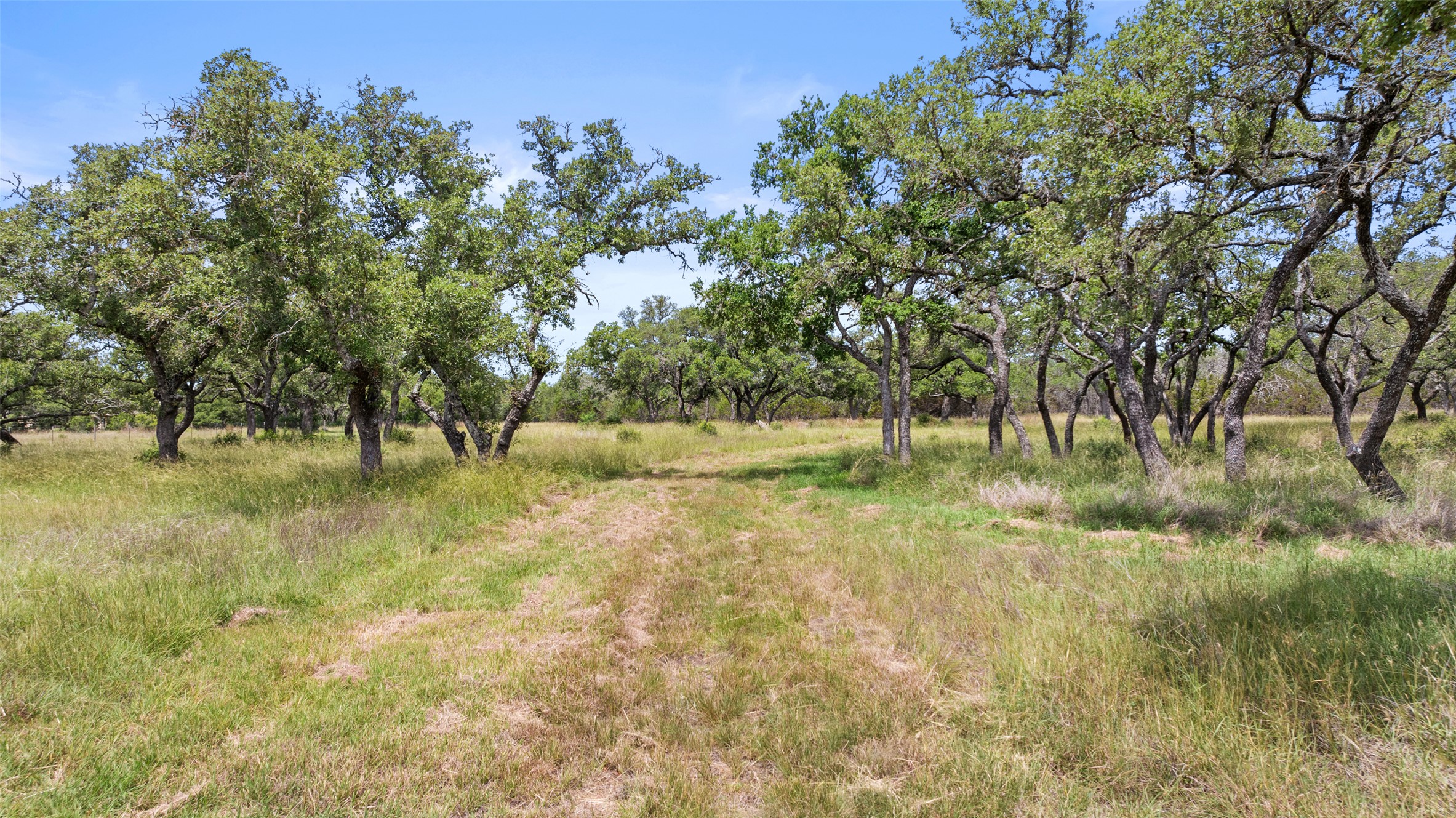 997 Sandy Oaks Ranch Road Johnson City, TX 78636 - Photo 2 of 11 a view of outdoor space with trees all around